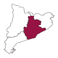 Calibración Barcelona