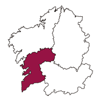 Calibración Pontevedra