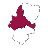 Calibración Zaragoza